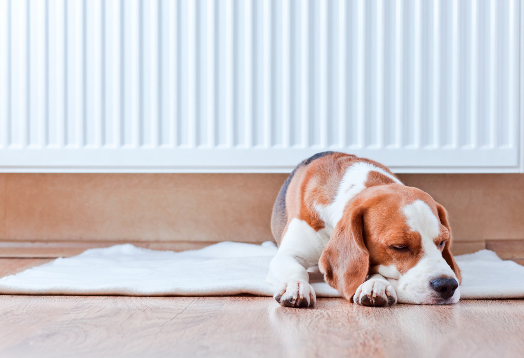 10 tips to keep your house warm this winter on a budget