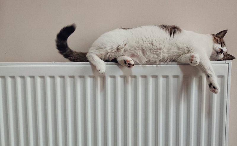 How do you bleed a radiator?