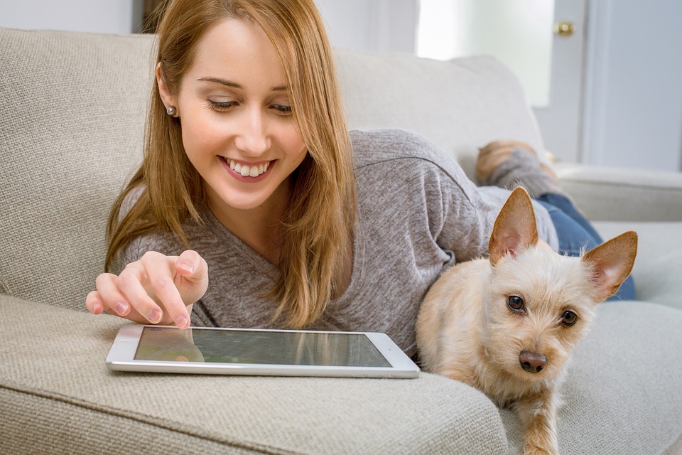 Guide: how to switch energy providers